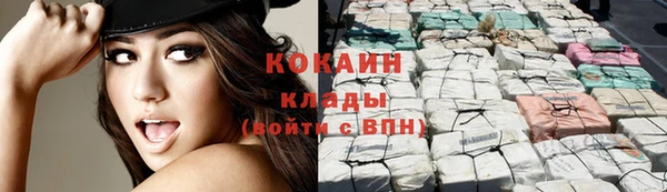 спайс Арсеньев