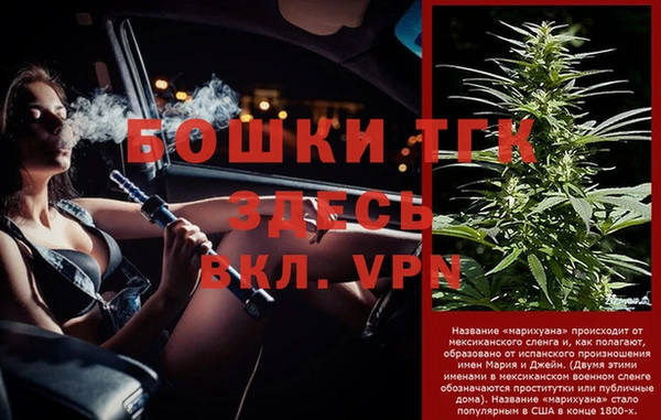 прущие крисы Аркадак