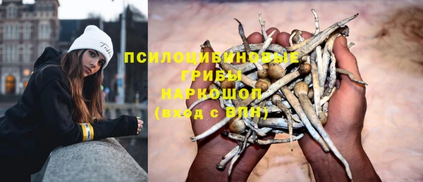 спайс Арсеньев