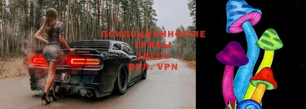прущие крисы Аркадак