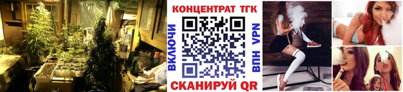 ТГК Wax Поронайск