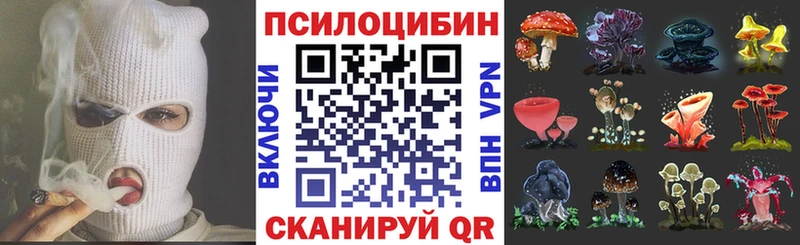 Псилоцибиновые грибы Magic Shrooms  Поронайск 
