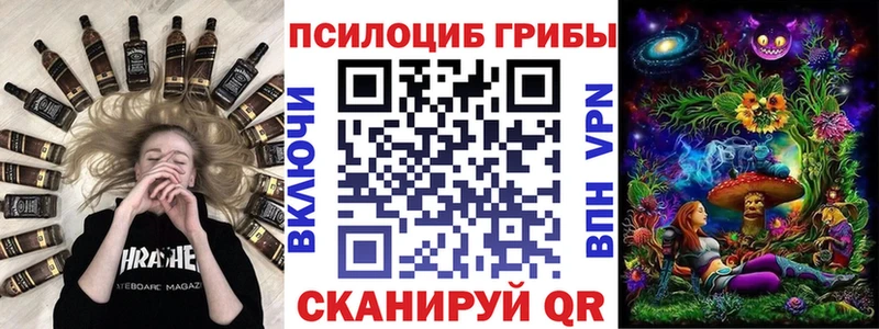 Галлюциногенные грибы Psilocybe Поронайск